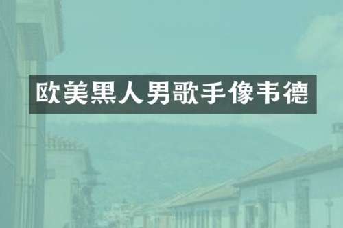 欧美黑人男歌手像韦德