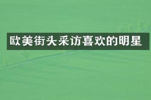 欧美街头采访喜欢的明星