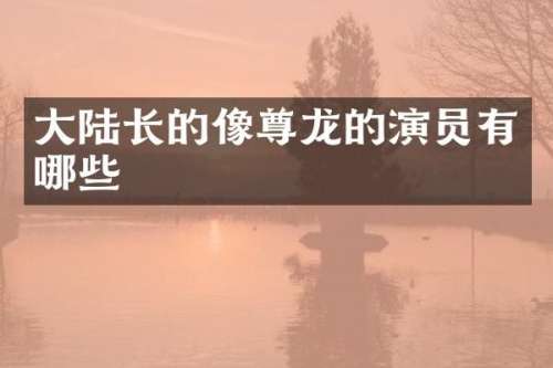 大陆长的像尊龙的演员有哪些