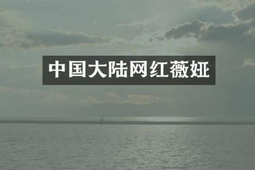 中国大陆网红薇娅