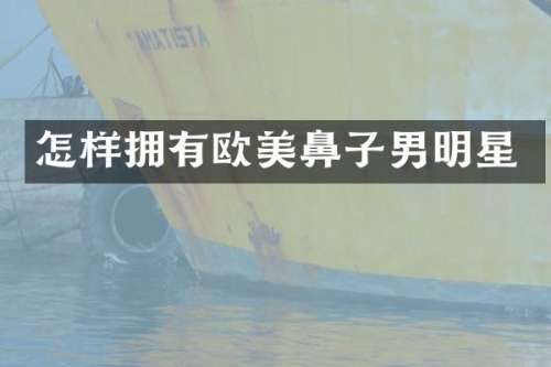 怎样拥有欧美鼻子男明星