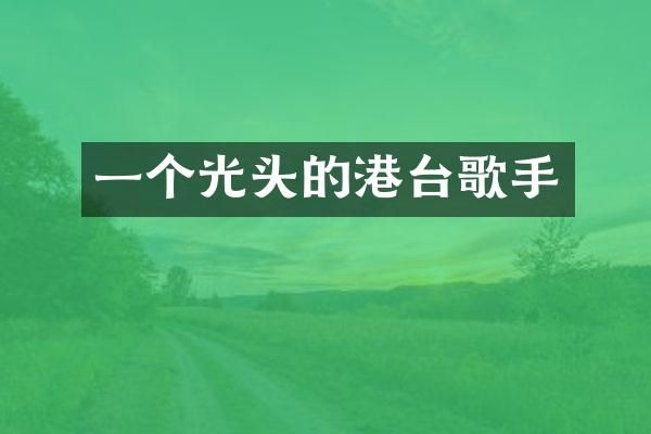一个光头的港台歌手