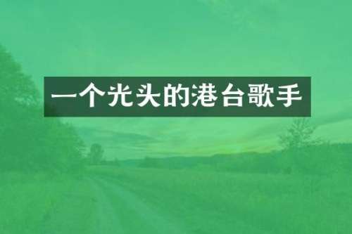 一个光头的港台歌手