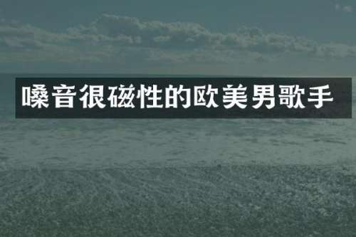 嗓音很磁性的欧美男歌手