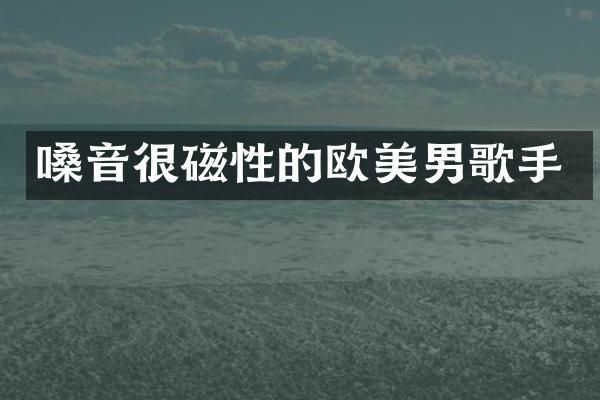 嗓音很磁性的欧美男歌手