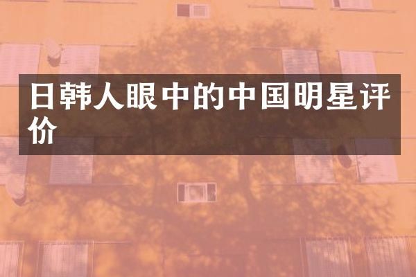 日韩人眼中的中国明星评价