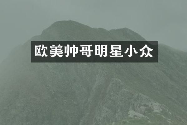 欧美帅哥明星小众