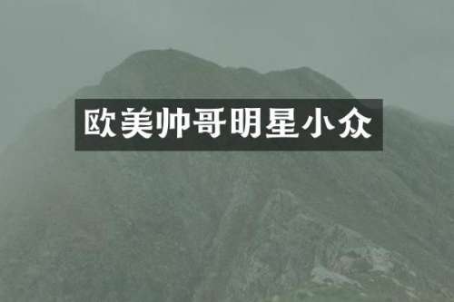 欧美帅哥明星小众