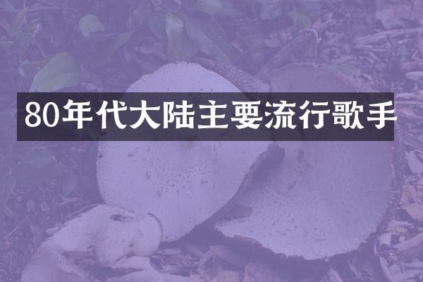 80年代大陆主要流行歌手
