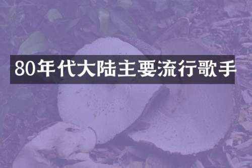 80年代大陆主要流行歌手