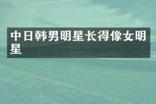 中日韩男明星长得像女明星