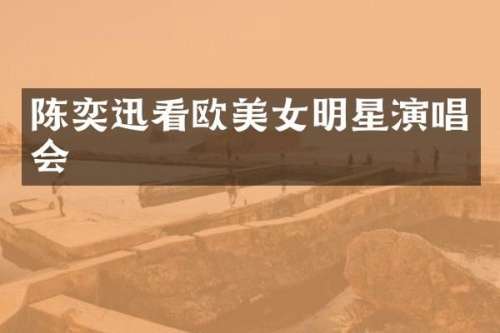 陈奕迅看欧明星演唱会