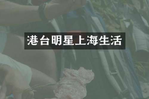 港台明星上海生活