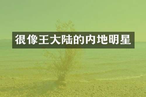 很像王大陆的内地明星