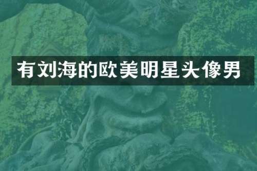 有刘海的欧美明星头像男