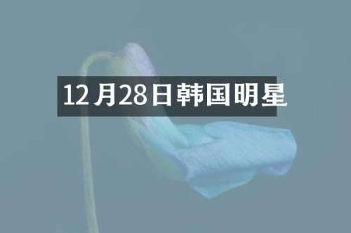 12月28日韩国明星