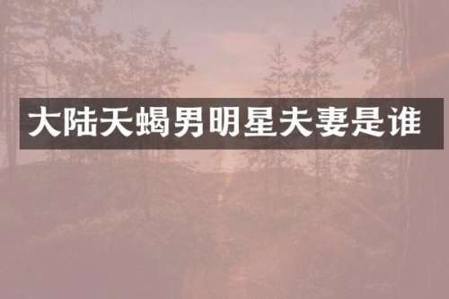 大陆天蝎男明星夫妻是谁