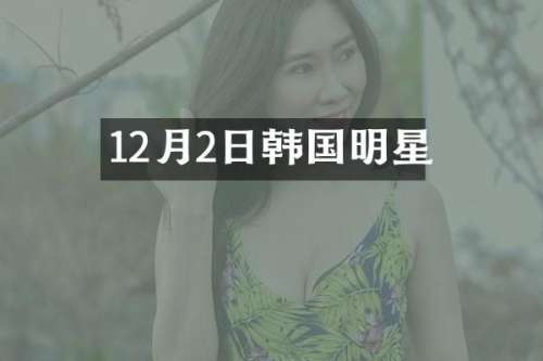 12月2日韩国明星