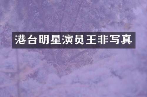 港台明星演员王非写真