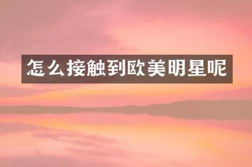怎么接触到欧美明星呢