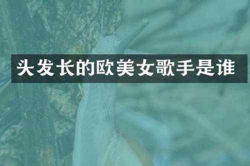 头发长的欧歌手是谁