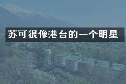 苏可很像港台的一个明星