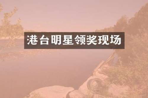 港台明星领奖现场