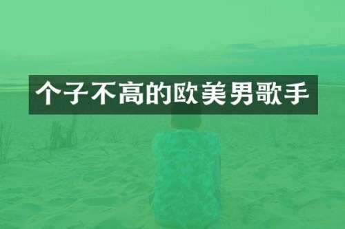 个子不高的欧美男歌手