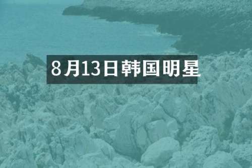 8月13日韩国明星