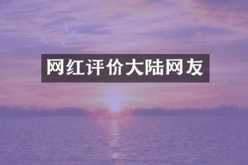 网红评价大陆网友