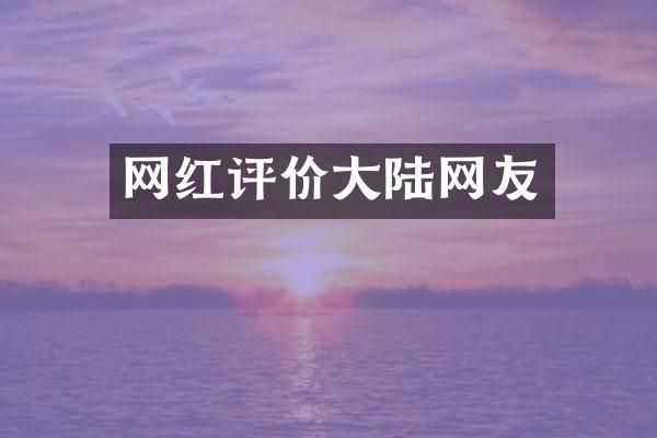 网红评价大陆网友