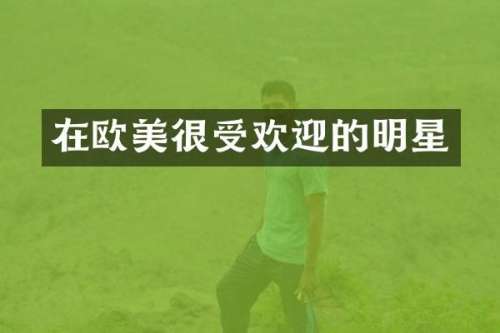 在欧美很受欢迎的明星