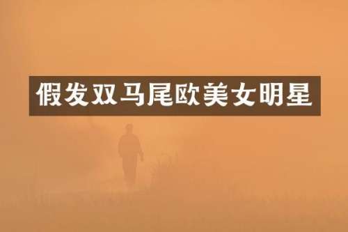 假发双马尾欧明星