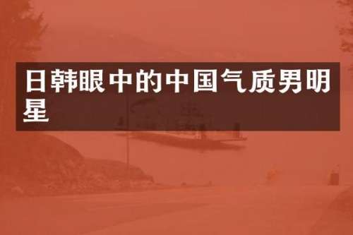 日韩眼中的中国气质男明星