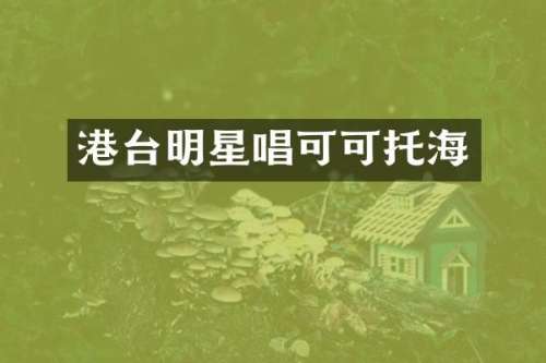 港台明星唱可可托海
