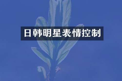 日韩明星表情控制