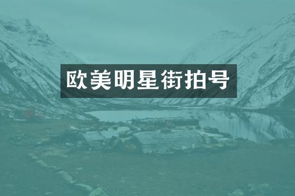 欧美明星街拍号