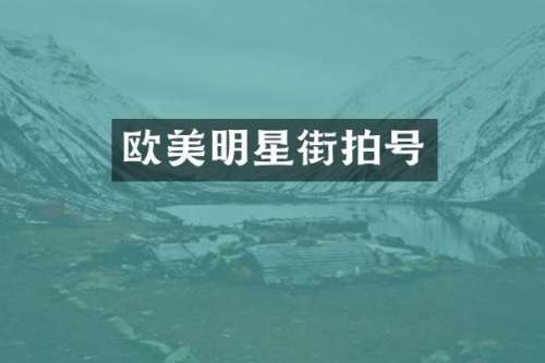 欧美明星街拍号