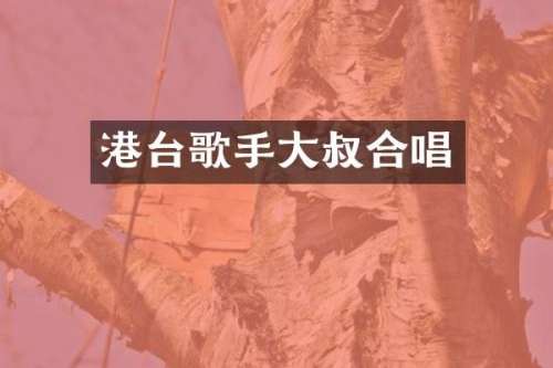 港台歌手大叔合唱