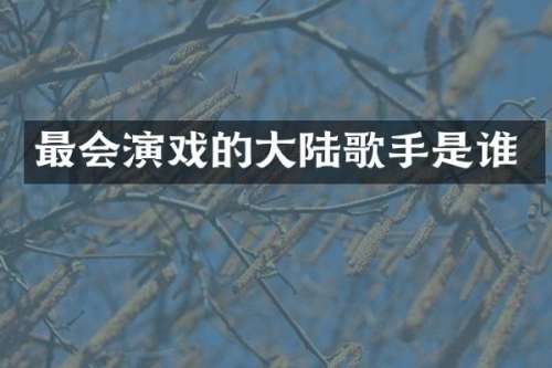 最会演戏的大陆歌手是谁
