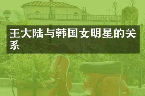 王大陆与韩国女明星的关系