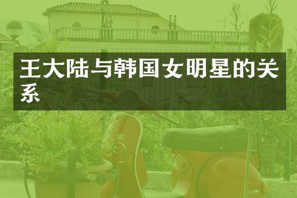 王大陆与韩国女明星的关系