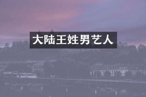 大陆王姓男艺人