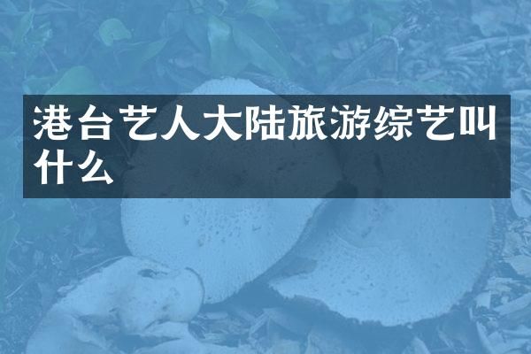 港台艺人大陆旅游综艺叫什么