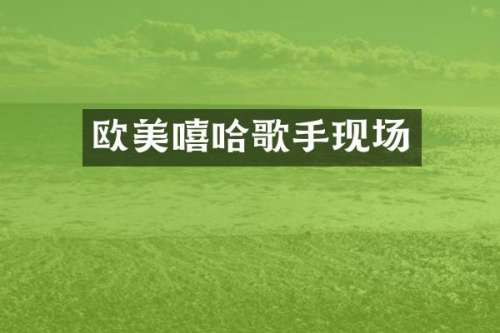 欧美嘻哈歌手现场