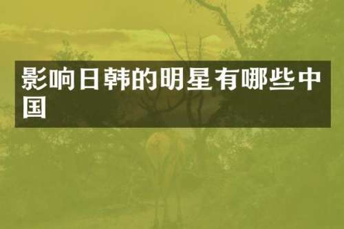 影响日韩的明星有哪些中国