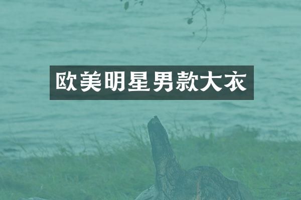 欧美明星男款大衣