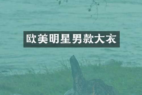 欧美明星男款大衣