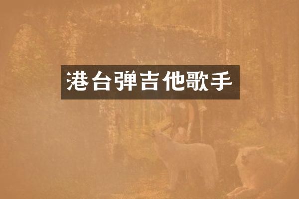 港台弹吉他歌手