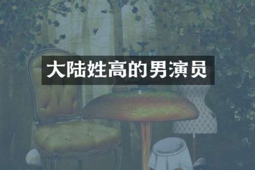大陆姓高的男演员